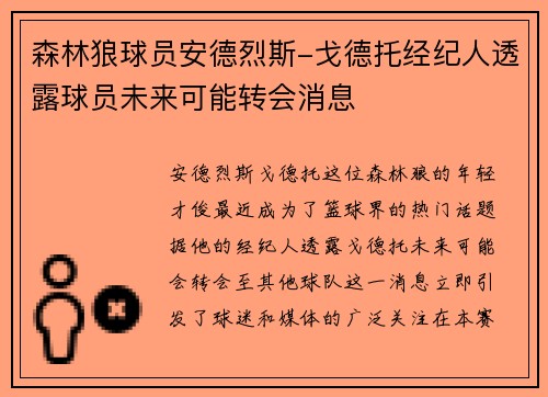森林狼球员安德烈斯-戈德托经纪人透露球员未来可能转会消息